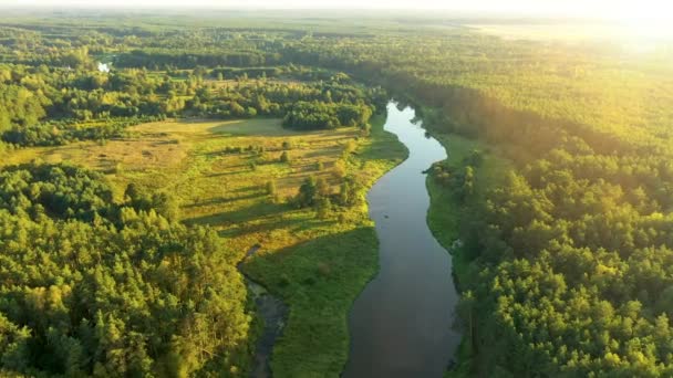 Aerial View Natural River Morning — Stok video