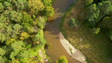 Aerial view of natural river during morning