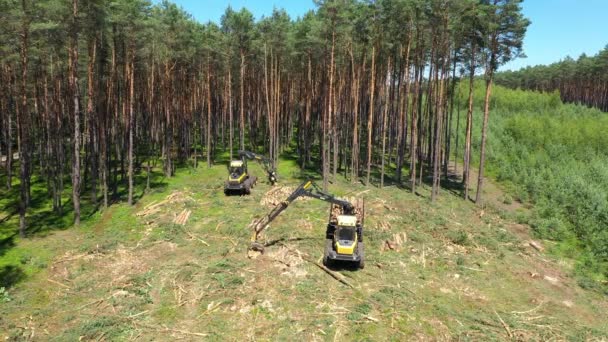 Bosbouwmachines Die Bomen Hakken Luchtfoto — Stockvideo
