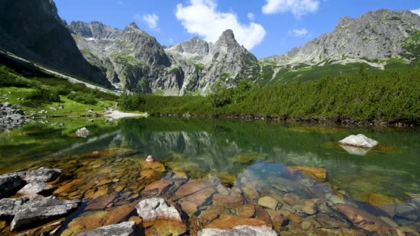 Paisagem Montanhosa Verão — Vídeo de Stock