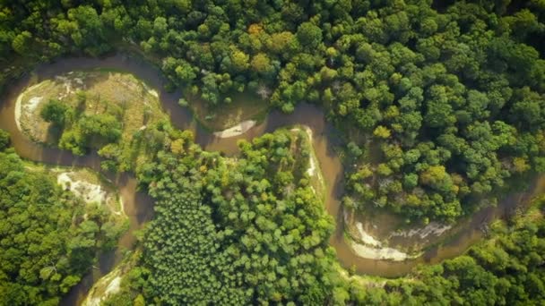 Aerial View Natural River Morning — Vídeos de Stock