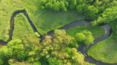 Aerial view of natural river during morning