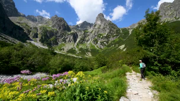 Paysage Montagne Été — Video