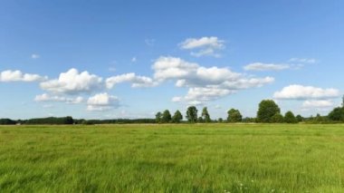 Tarlaların üzerindeki güneşli günün zamanı