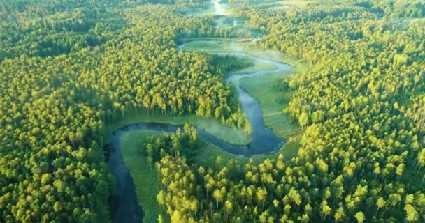 上午自然河流的空中景观 — 图库视频影像