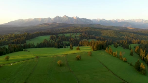 Drone Luchtlandschap Van Groene Weiden Tatra Gebergte — Stockvideo