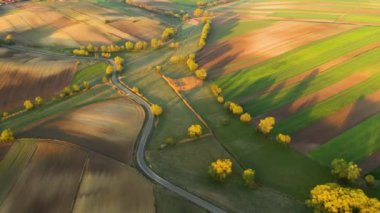 Sonbahar boyunca kırsal manzaranın havadan görünüşü