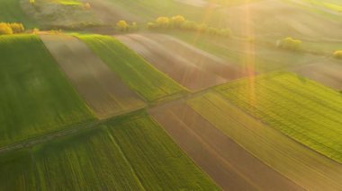 Yeşil çayırlar üzerinde güzel bir bahar sabahı 