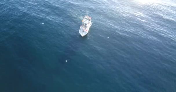 Fiskebåt Havet — Stockvideo