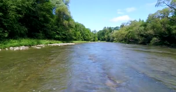 Doğal Nehrin Insansız Hava Görüntüsü — Stok video