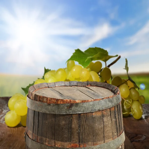 Barrica vacía con uvas — Foto de Stock