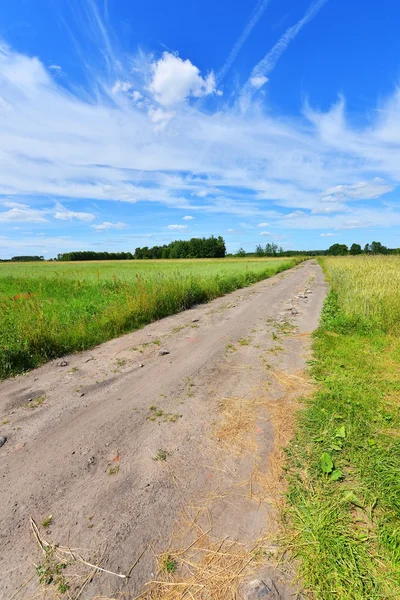 Landelijke weg in het veld — Stockfoto