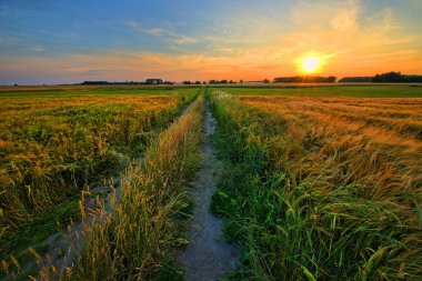 Boş tablo alanında