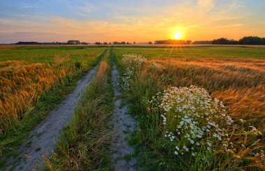 Günbatımlı yaz manzarası