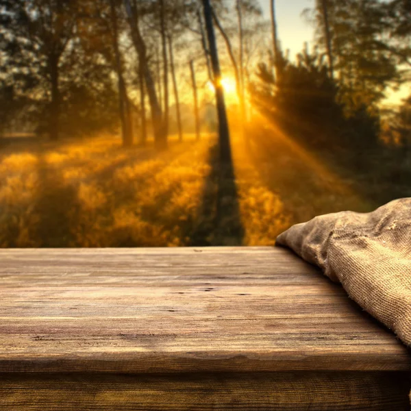 Empty table  in the forest — Stock Photo, Image