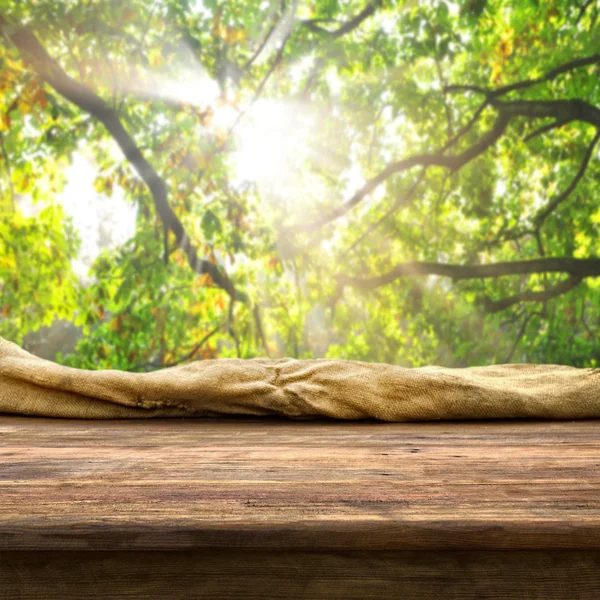 Empty table and tree branches — Stock Photo, Image