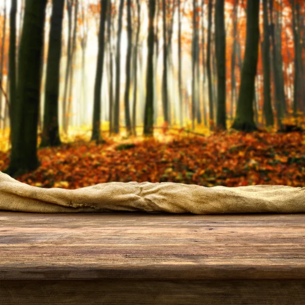 Empty table in  autumn forest — Stock Photo, Image