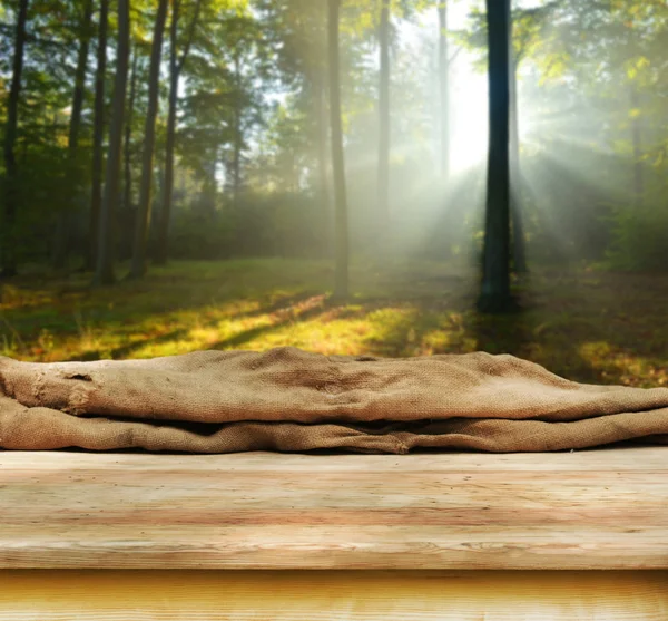 Empty table  in the forest — Stock Photo, Image