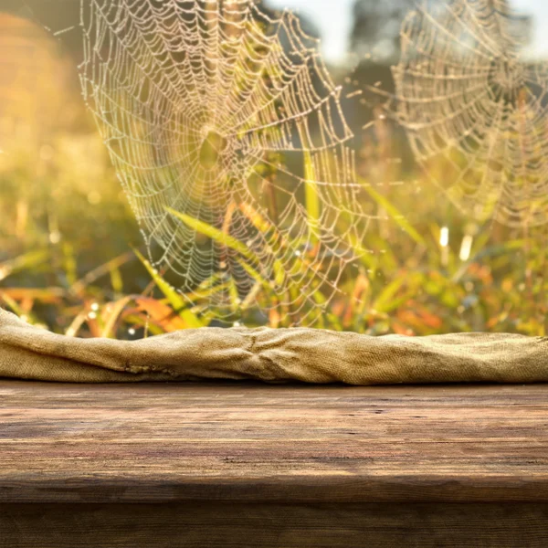 Empty table in the grass — Stock Photo, Image