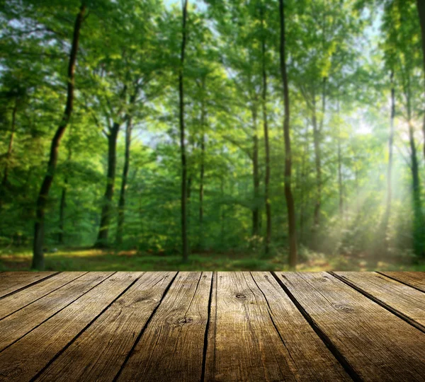 Leerer Tisch im Wald — Stockfoto