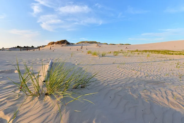 Słowiński nationalpark — Stockfoto