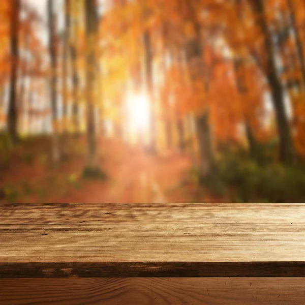 Empty table in  autumn forest — Stock Photo, Image