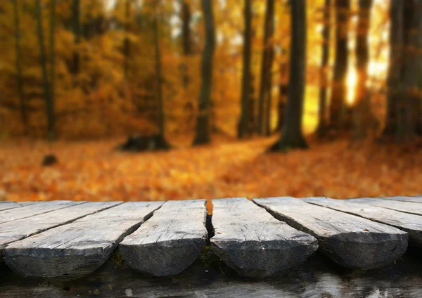 Empty table in  autumn forest — Stock Photo, Image