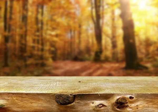 秋の森で空のテーブル — ストック写真