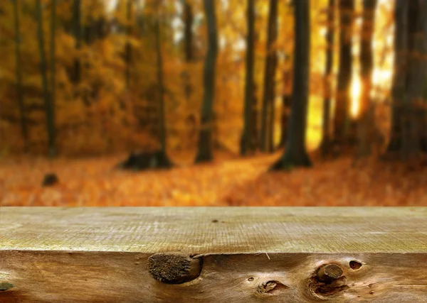 Prázdná tabulka v podzimním lese — Stock fotografie