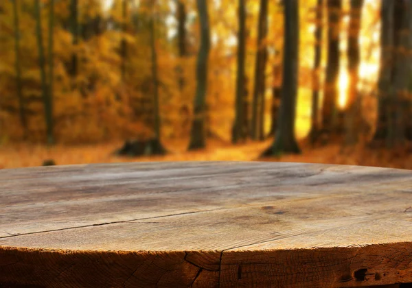 Mesa vacía en bosque otoñal —  Fotos de Stock
