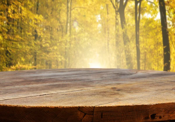 Порожній стіл у лісі — стокове фото