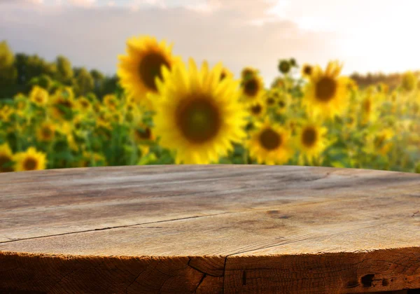 Pusta tabela z słoneczniki — Zdjęcie stockowe