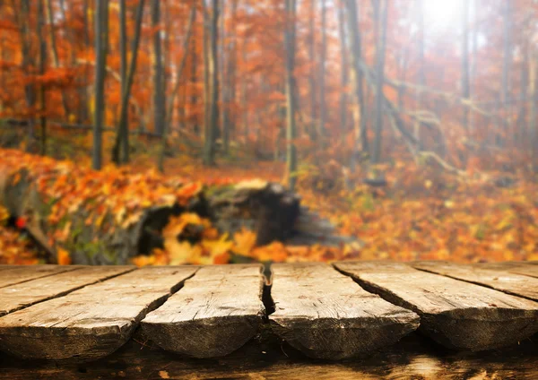Tavolo vuoto nella foresta autunnale — Foto Stock