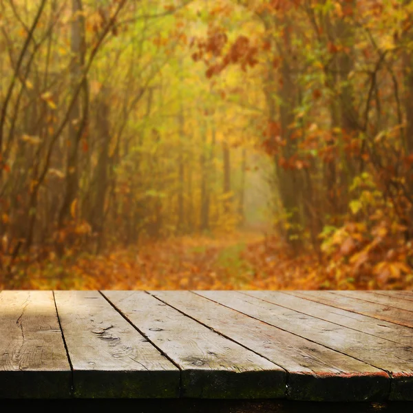 Tom tabell i höst skog — Stockfoto