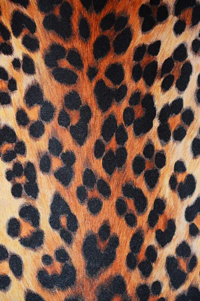 Animal skin pattern — Stock Photo, Image