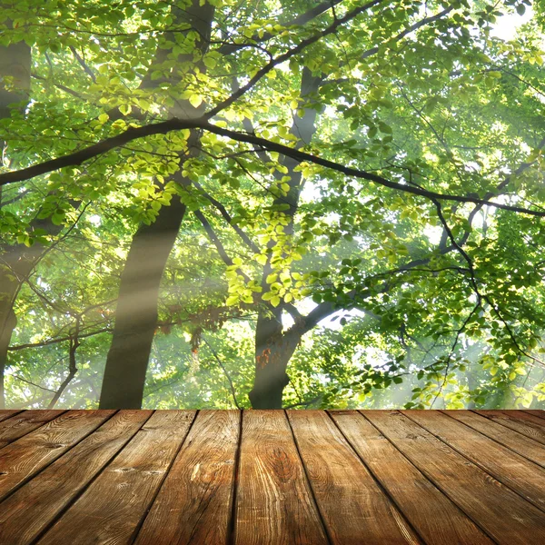 Table vide dans la forêt — Photo