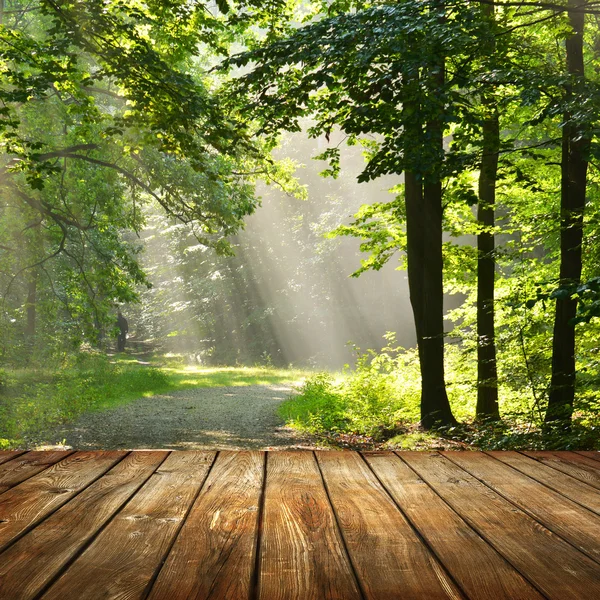Ormanın içinde boş tablo — Stok fotoğraf