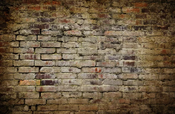 Grunge brick wall — Stock Photo, Image