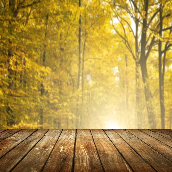 Sonbahar ormandaki boş tablo