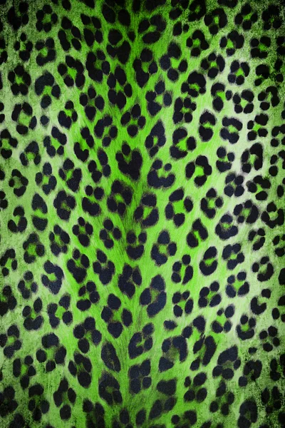 Green wild animal skin — Stock Photo, Image