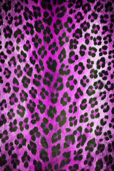 Purple animal skin pattern — Stock Photo, Image