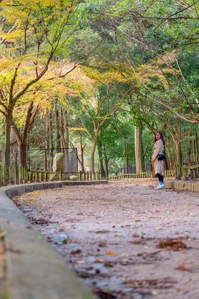 Una Hermosa Mujer Asiática Disfrutó Pie Jardín Con Hojas Árbol —  Fotos de Stock
