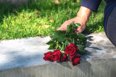  Bir kadın açık havada otururken yerde kırmızı gülleri tutuyor ve tutuyor.