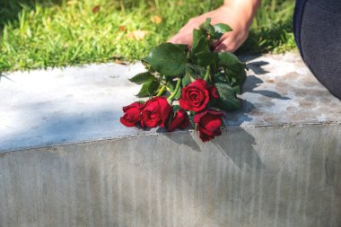  Bir kadın açık havada otururken yerde kırmızı gülleri tutuyor ve tutuyor.