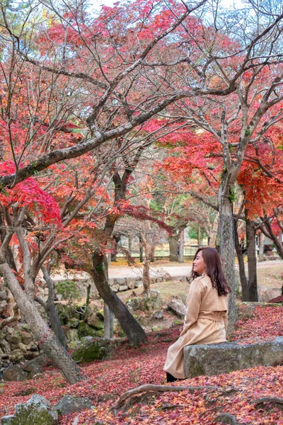 Una Hermosa Mujer Asiática Disfrutó Sentada Jardín Con Hojas Árbol —  Fotos de Stock