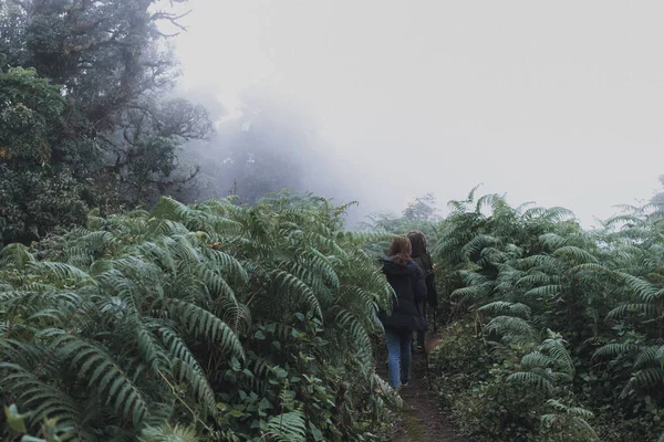 Dos Mujeres Trekking Selva Bosques Lluviosos —  Fotos de Stock