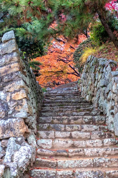 Una Vieja Escalera Piedra Con Hojas Árboles Colores Rojo Amarillo —  Fotos de Stock