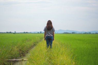 Ayakta duran ve güzel bir pirinç tarlasına bakan bir kadının rahat ve sakin görüntüsü.