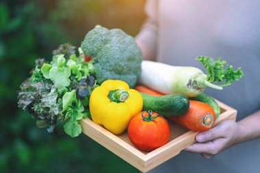 Tahta tepside taze karışık sebzeleri tutan bir kadın.
