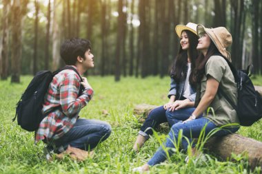 Bir grup gezgin bir kütüğe oturup güzel bir çam ormanına bakıyorlar.